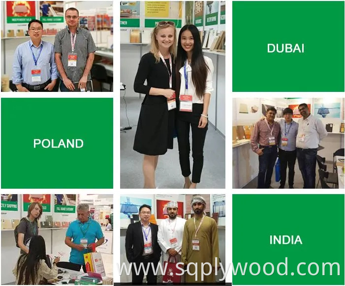 Wood Grain Furniture Grade UV High Gloss MDF